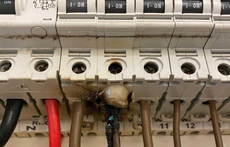 Thermal-damage-due-to-damagedloose-screw
